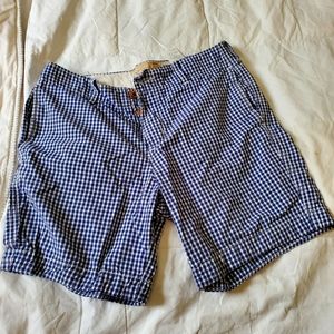 Men's Hollister Checkered Blue Shorts Size 31